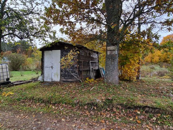 Visagino sav., Lapušiškė