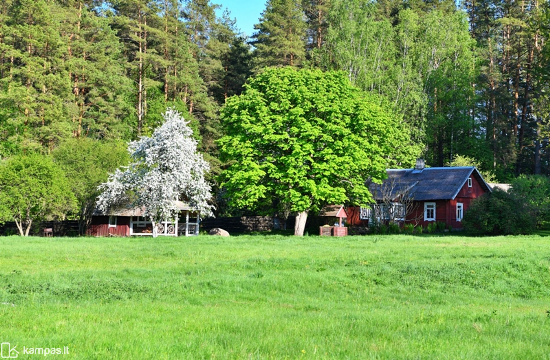 Main Image Vilniaus r. sav., Vilkinė